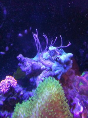 photo 4-1.jpg