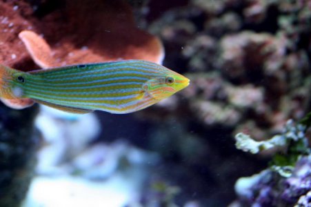 IMG_3991.jpg