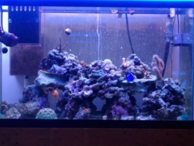 new 30 gallon fts.jpg