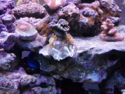 new 30 gallon 2.jpg