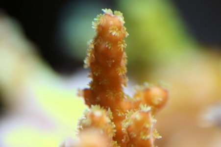 CC1F9227.jpg