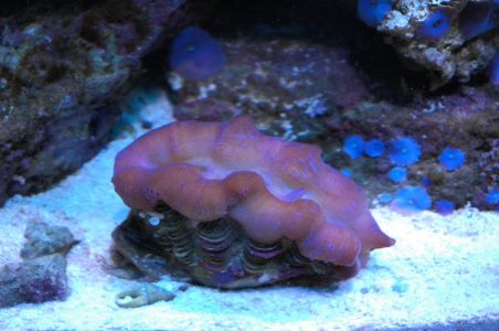 DSC_7536.JPG