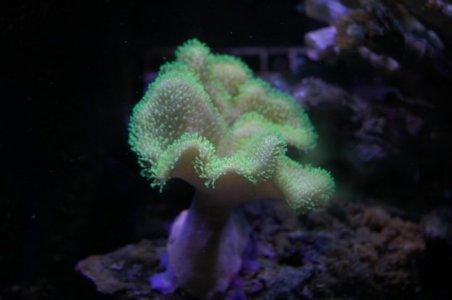 DSC_7537.JPG