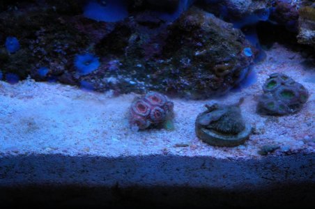 DSC_7538.JPG