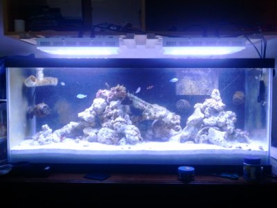 2012-05-12 10.09.13.jpg