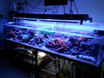 20120519_220820.jpg