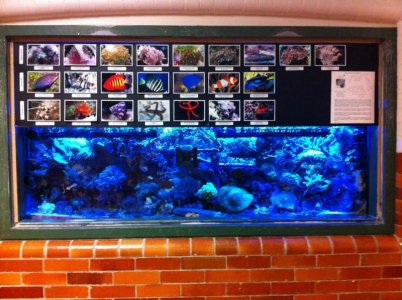 02Tank from hall.jpg