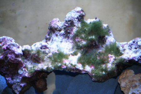 IMG_1756.jpg