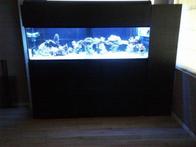 IMG-20111201-00071.jpg