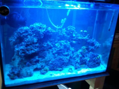 2012-05-21 21.21.12.jpg