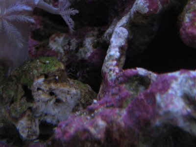 IMG_5720.jpg