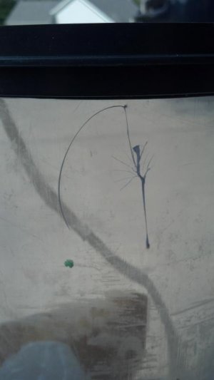 2012-05-26_15-56-36_347.jpg