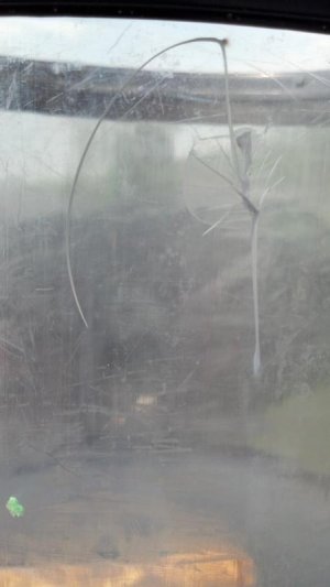 2012-05-26_16-03-49_110.jpg