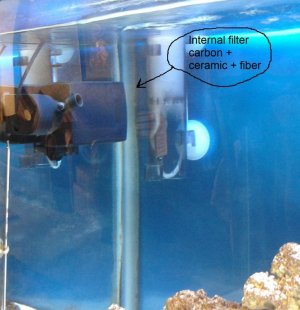 2012-05-28 12.43.20.jpg