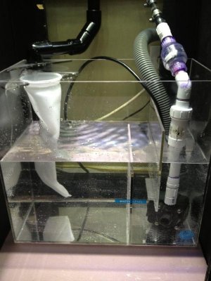 IMG_3441.jpg IMG_3441.jpg