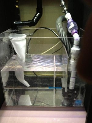 IMG_6652.jpg IMG_6652.jpg