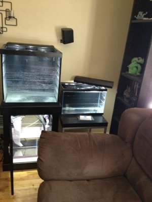 IMG_4127.jpg IMG_4127.jpg