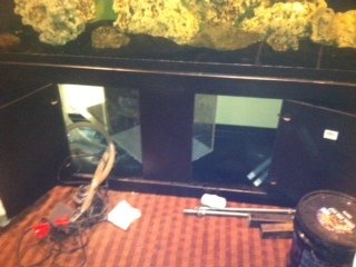 middle front brace.jpeg