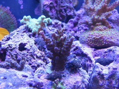IMG_1106.jpg