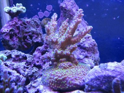 IMG_1107.jpg
