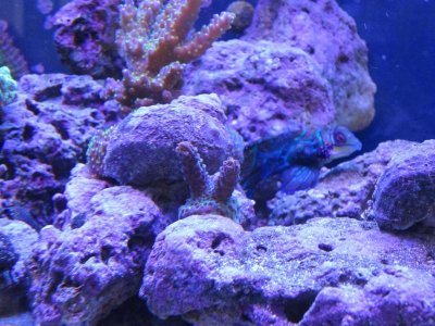 IMG_1109.jpg