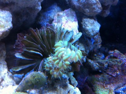 IMG_0958.jpg