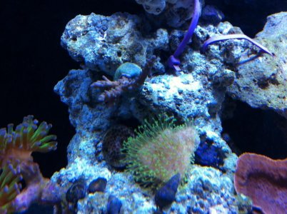 IMG_0963.jpg