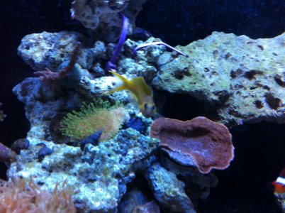 IMG_0964.jpg