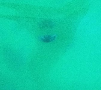 photo2.jpg