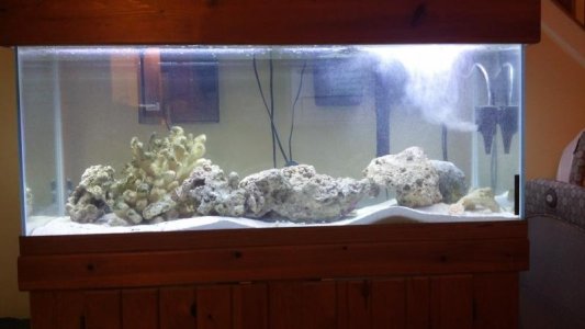2012-06-24_21-41-58_987.jpg