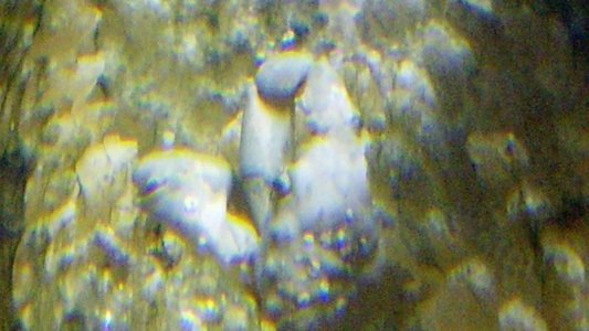 2012-06-24_21-02-43_547.jpg