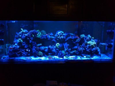 IMG_20111130_191550.jpg