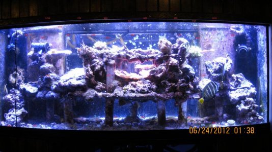 IMG_0098.jpg