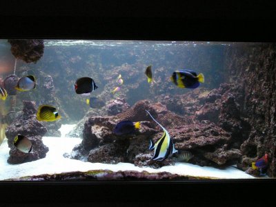 PICT0150.jpg