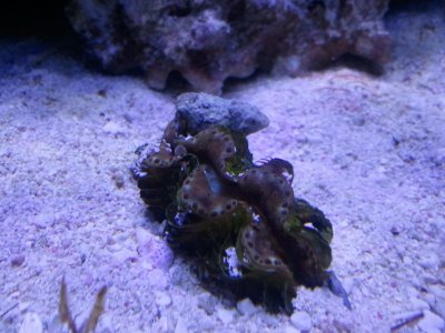 2012-06-05 19.11.46.jpg