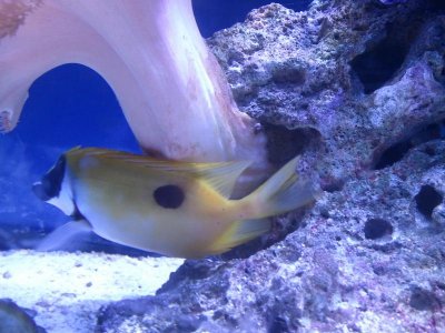 2012-06-26 17.49.23.jpg