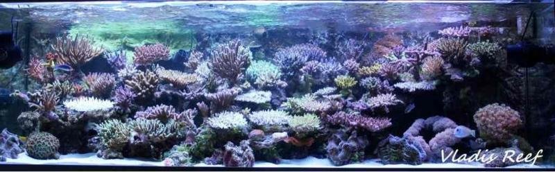 ImageUploadedByTapatalk1339004364.826599.jpg