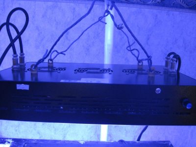 IMG_5752.jpg
