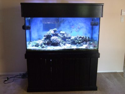 aquarium-01.jpg