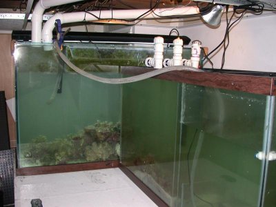 DSCN4159.jpg