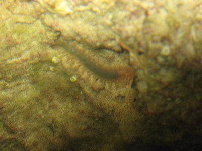 IMG_0693.jpg