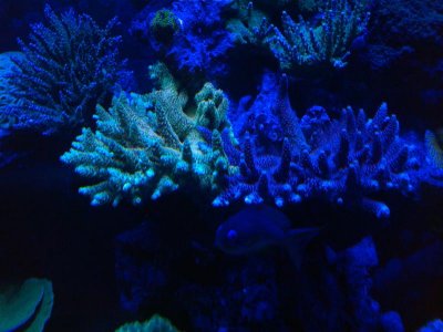 IMG_20120513_190413.jpg
