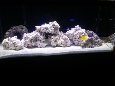 2012-06-08_18.31.39.jpg