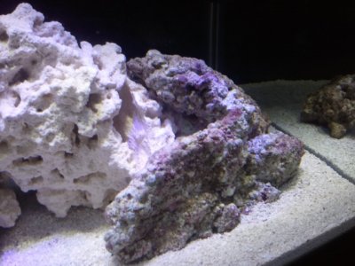 2012-06-08_18.30.10.jpg