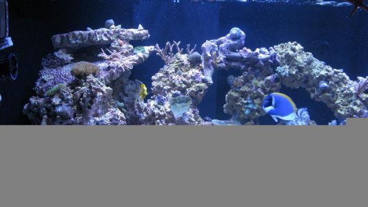 IMG_4834.jpg IMG_4834.jpg