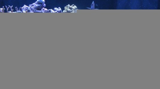 IMG_4835.jpg IMG_4835.jpg