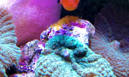 6-2012-Mike -Matt had eggs2.jpg