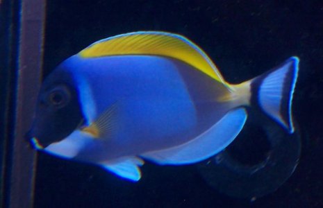 100_15021.jpg