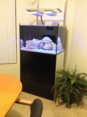 Reef 1.jpg