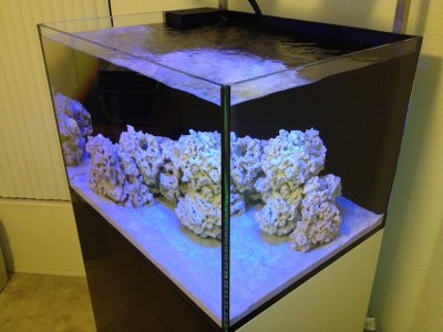 Reef 2.jpg